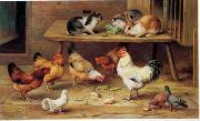 unknow artist Cocks and rabbits 130 oil painting reproduction